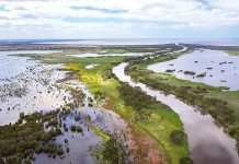 World Wetlands Day to celebrate our lakes