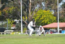 Carman steers Swan to memorable win against Stratford