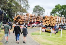 Community pride on show at Heyfield Timber Festival