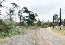 AusNet’s $10 million Gippsland storm fund