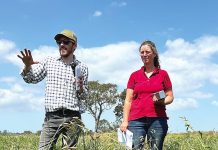 Soil educator Joel Williams to workshop in Gippsland