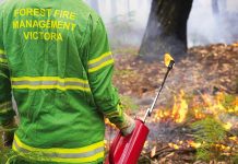 Planned burned season underway