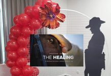 Paying it forward for Anzac horses and past veterans