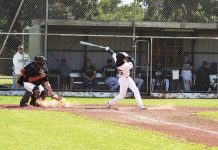 Gippy Champs Baseball tournament lands in Sale