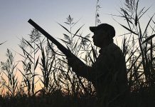 Duck hunting restricted or closed in Dowd Morass and Clydebank Morass this season