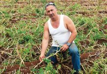 Cummaudo family recalls unreal storm at Mirboo North