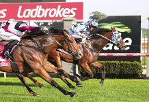 Sale Turf Club’s eight-race meet