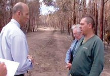 Black Saturday arsonist released from prison