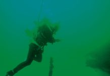 Survey reveals shipwreck secrets off Wilson’s Prom