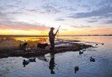 Sale among highest duck harvest areas
