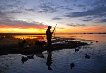 Duck and quail hunting allocated over $10 million in budget