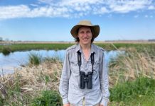 Keeping an eagle eye on Sea Eagles in Gippsland