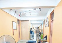 Gaza war zone volunteer reflects on how lucky she is to live in Gippsland