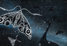 Dargo and Loch Sport two of the best stargazing locations in Gippsland