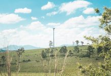 Telstra’s upgrade of the Sale mobile base station