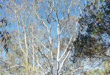 Reader Gallery – June 14 2024