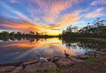 Reader Gallery June 18 2024