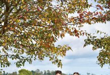 19-year-old Holly Anderson’s cattle breeding empire