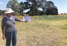 Landcare workshops across Wellington