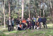 Hardwood driving durable eucalypt timber