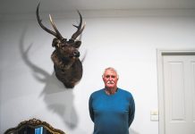 Licola and Dargo amongst most popular deer hunting areas: GMA report