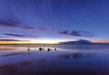 Reader Gallery July 19 2024