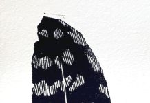 Briagolong Art Gallery’s new exhibition!