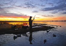 Proposed duck hunting regulations out for public scrutiny