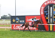 Moe Races Club’s marathon day