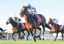 Racing: Winning doubles for Maher, Shinn