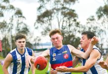 Roos end Dogs’ season