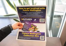 Last chance to have your say on the future of Wellington