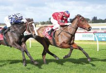 Sale Turf Club’s latest meeting