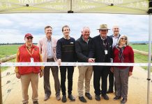 Rail trail extends to Yarram
