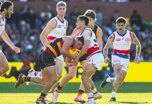 Crows, Berry upset the Bulldogs