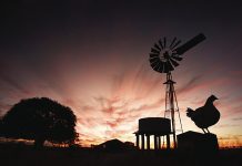 Rural Aid’s iconic photo competition opens