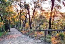 Wirilda track walk through gorge