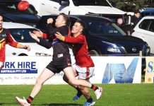 NGFNL: Wildcats end Kangaroos’ season