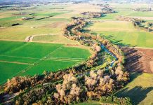 Partnering to protect and strengthen Rainbow Creek