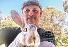 Local artists in major exhibition