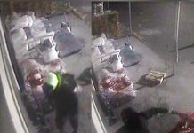 Motorbikes stolen from Sale business