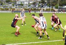 Battle to face Parrots – prelim preview