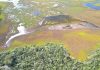 Algal bloom advice downgraded for Gippsland Lakes
