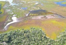 Annual report showcases works around the Lakes