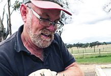 New blood for Landcare network