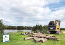 Creating better homes for fish in Lower Avon river