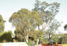 Toilets needed at Stratford, Maffra skate parks: Hogan