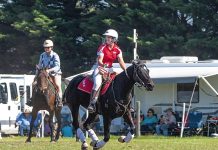 Gippstar wins for Wilms, Roberts