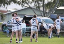 Cats claim grand final spot: NGFNL preliminary final