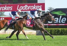 Getting ready for the Sale Cup